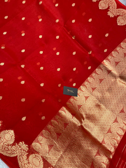 100% Pure Organza Red Color Handloom kaduwa Banarasi Saree
