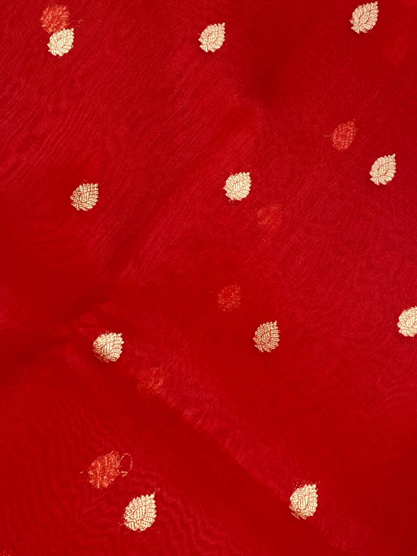 100% Pure Organza Red Color Handloom kaduwa Banarasi Saree