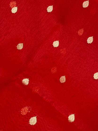 100% Pure Organza Red Color Handloom kaduwa Banarasi Saree